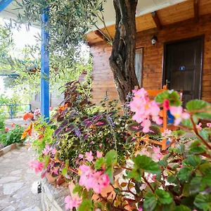 Holiwood , Himarë Albanie