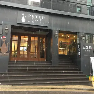 피터캣 신촌 호텔